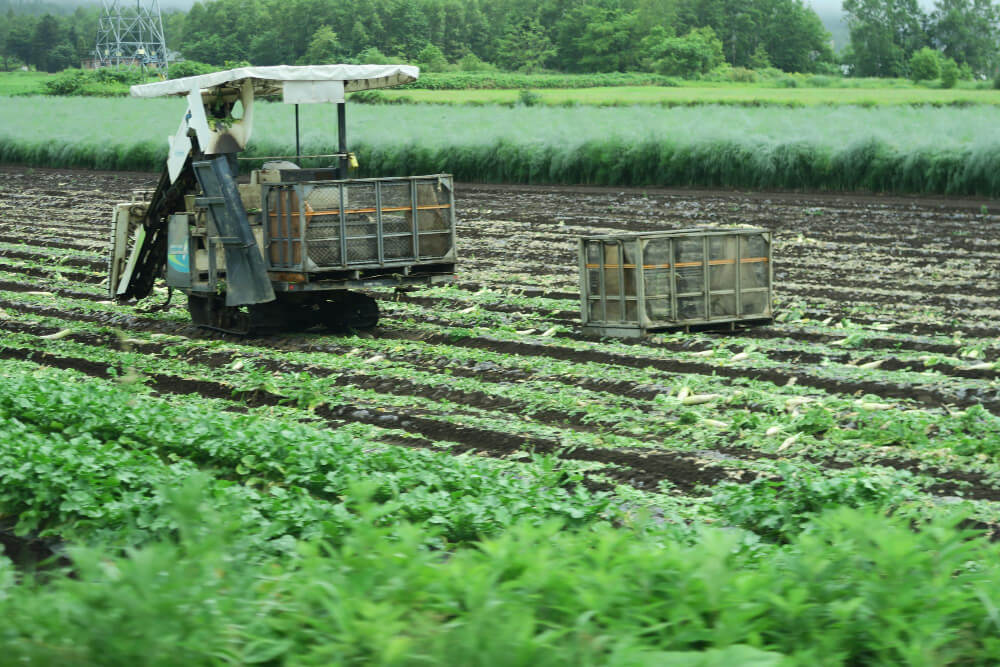 Agriculture and Food Production